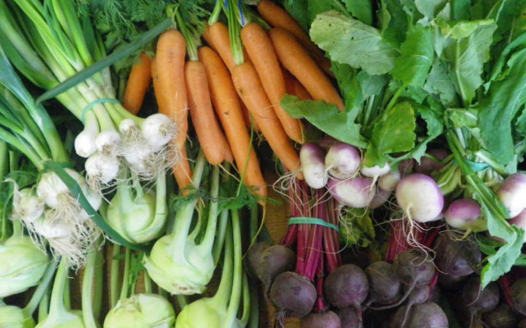 Marché du jeudi 30 mai