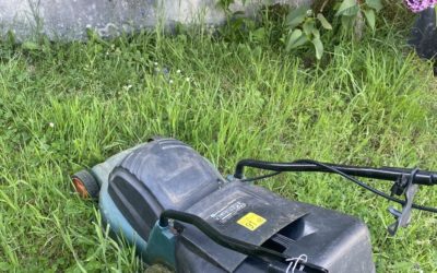 Quand utiliser sa tondeuse ?