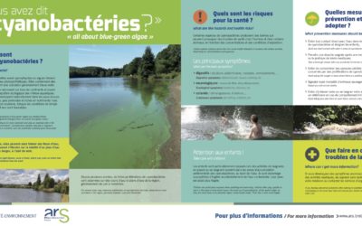 Attention cyanobactéries dans nos plans d’eau