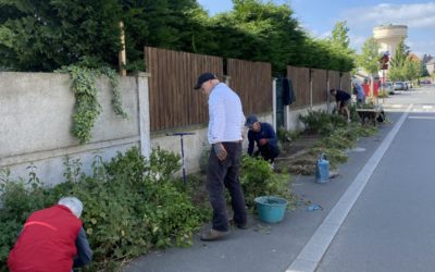 Journée citoyenne